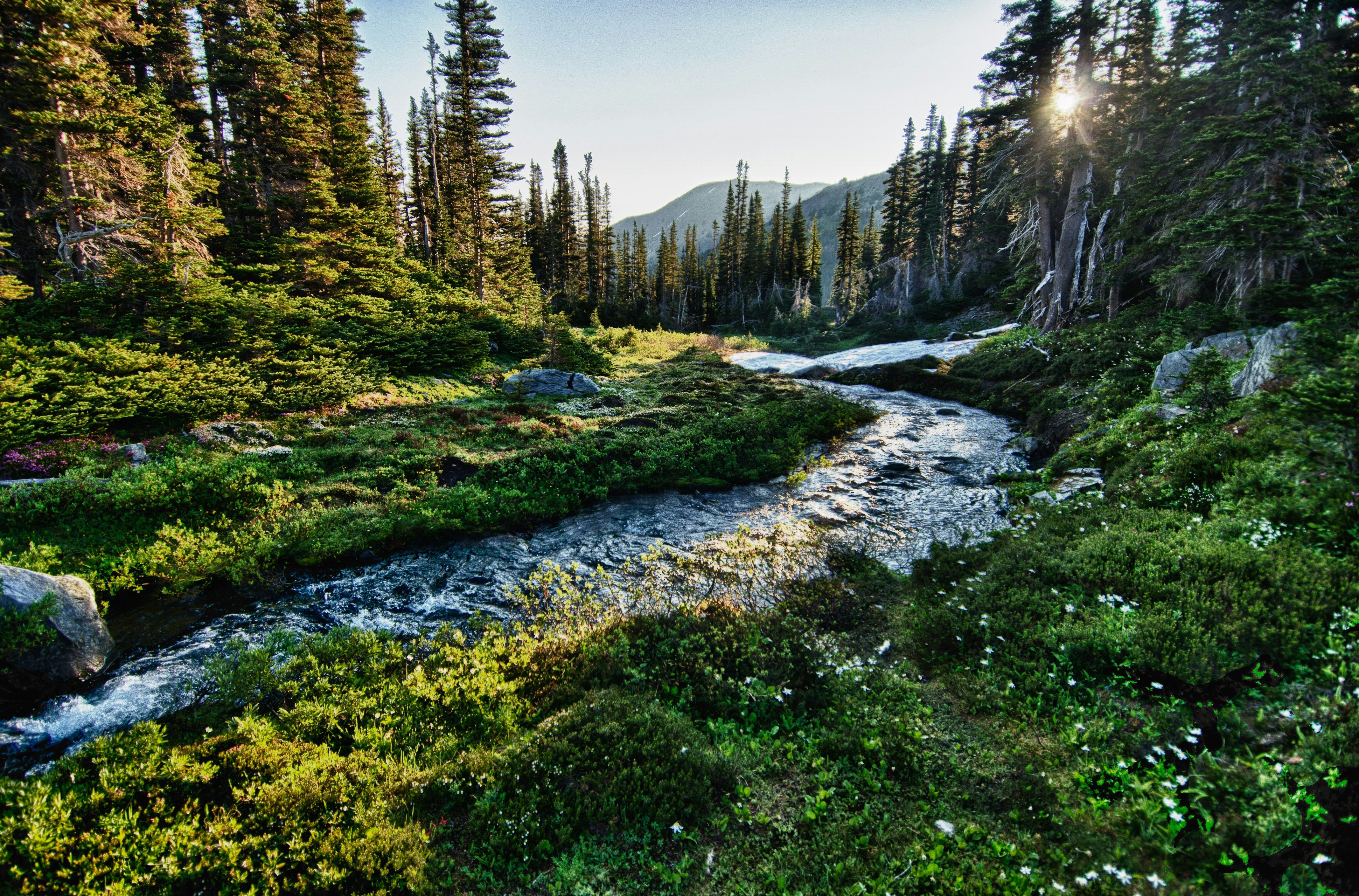 jachan-devol-ssEQdOiKd8U-unsplash