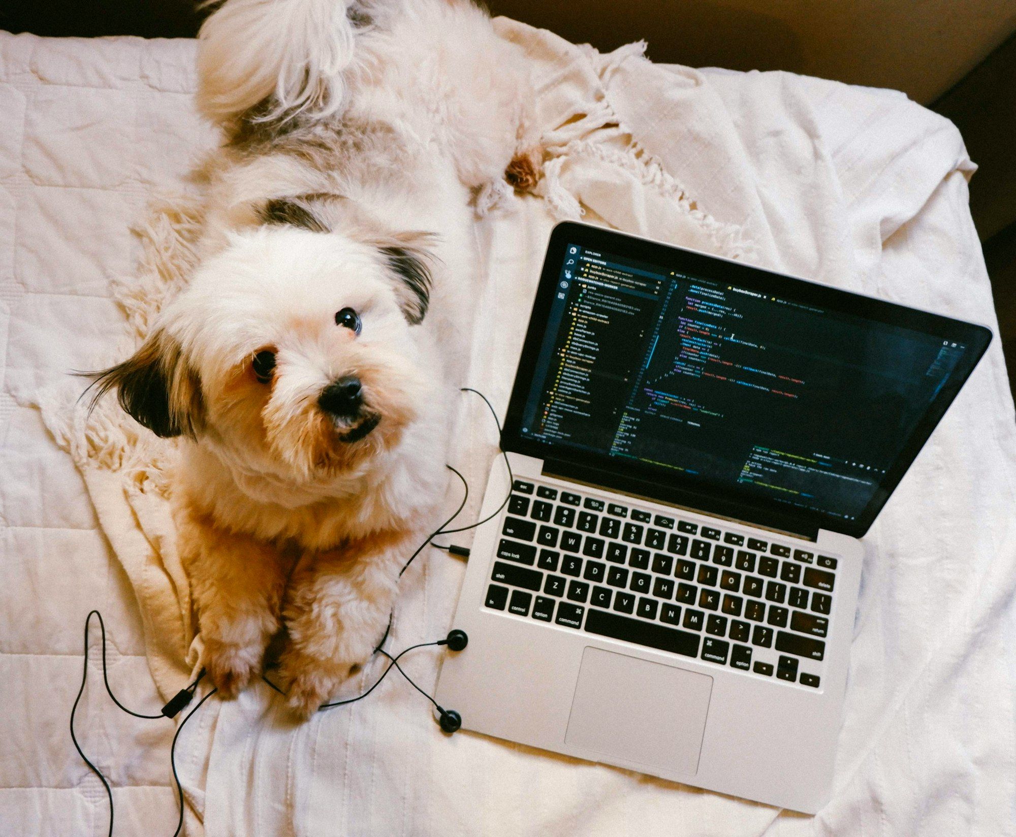 software blog