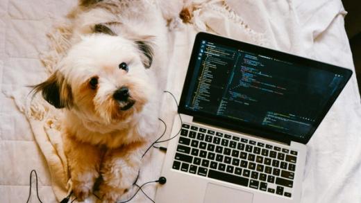 software blog