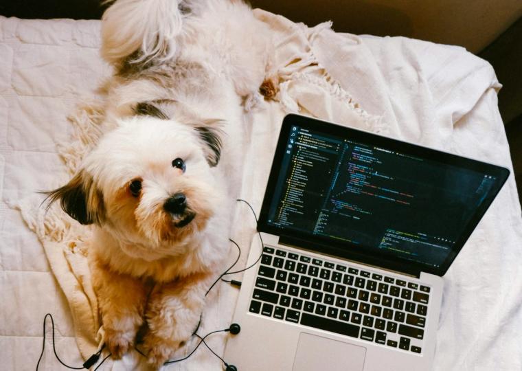 software blog