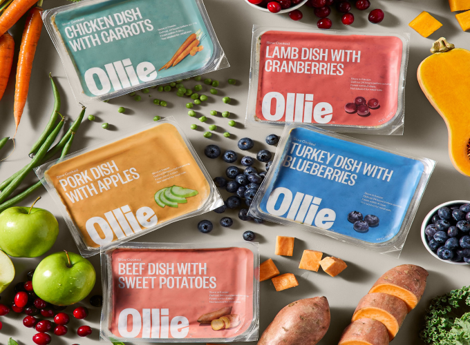 Packages of Ollie pet food with flavors like chicken, lamb, pork, and beef are surrounded by fresh ingredients like carrots, cranberries, apples, and sweet potatoes.