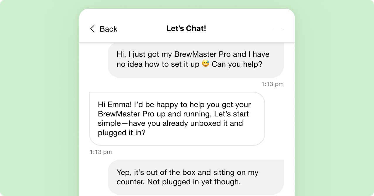 Chat interface showing a conversation about setting up a BrewMaster Pro. The user asks for help with a smiling emoji, and support responds with friendly guidance.