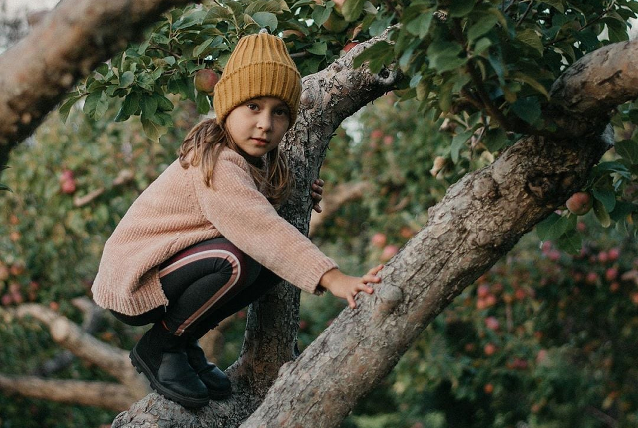 A young child in a yellow beanie and pink sweater crouches on a tree branch in an orchard. The scene feels adventurous and serene.