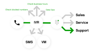 Chart on how IVR works