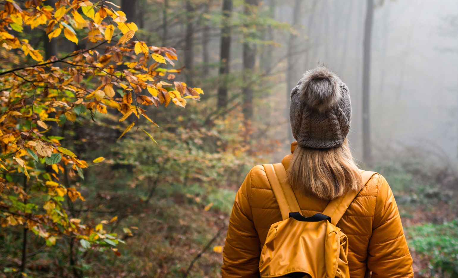 Women's History Month celebratory photo 