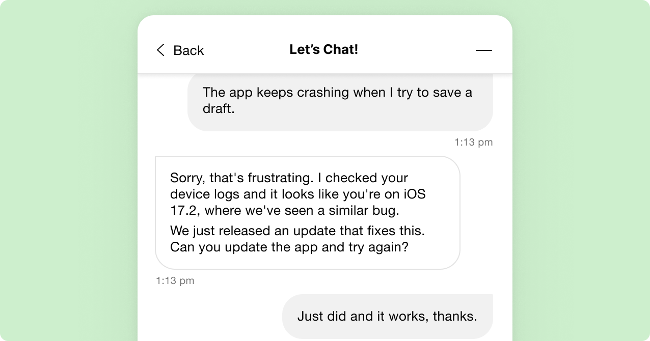 Chat conversation with user reporting app crash on iOS 17.2. Support suggests updating the app to fix the bug. User confirms update resolved issue.