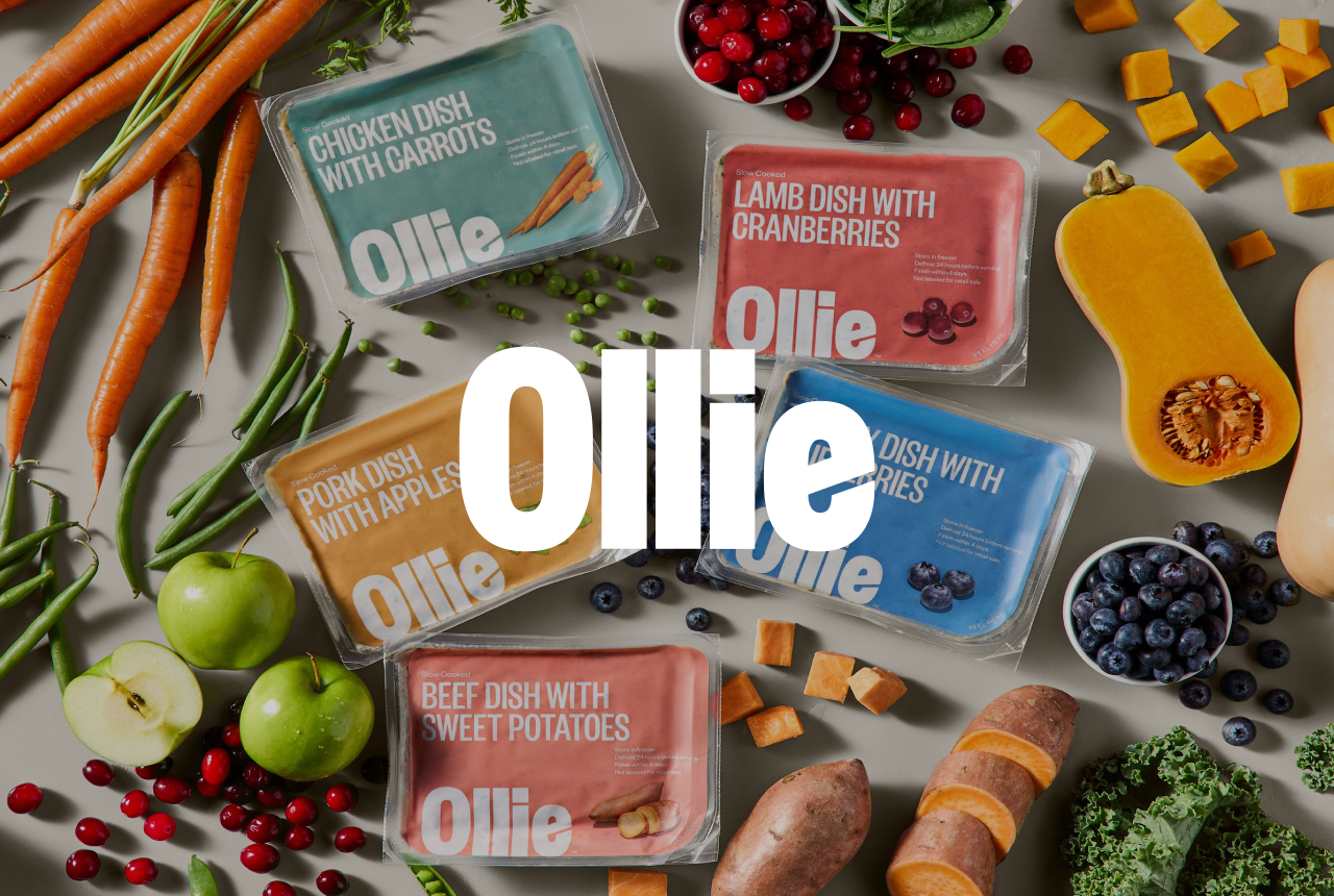Packages of Ollie pet food with flavors like chicken, lamb, pork, and beef are surrounded by fresh ingredients like carrots, cranberries, apples, and sweet potatoes.