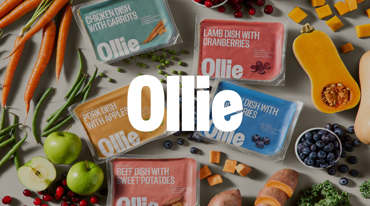 Packages of Ollie pet food with flavors like chicken, lamb, pork, and beef are surrounded by fresh ingredients like carrots, cranberries, apples, and sweet potatoes.