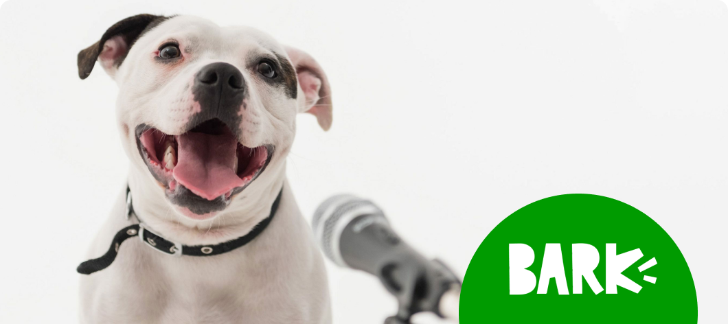 530x236_PodcastFeature_Bark_0124