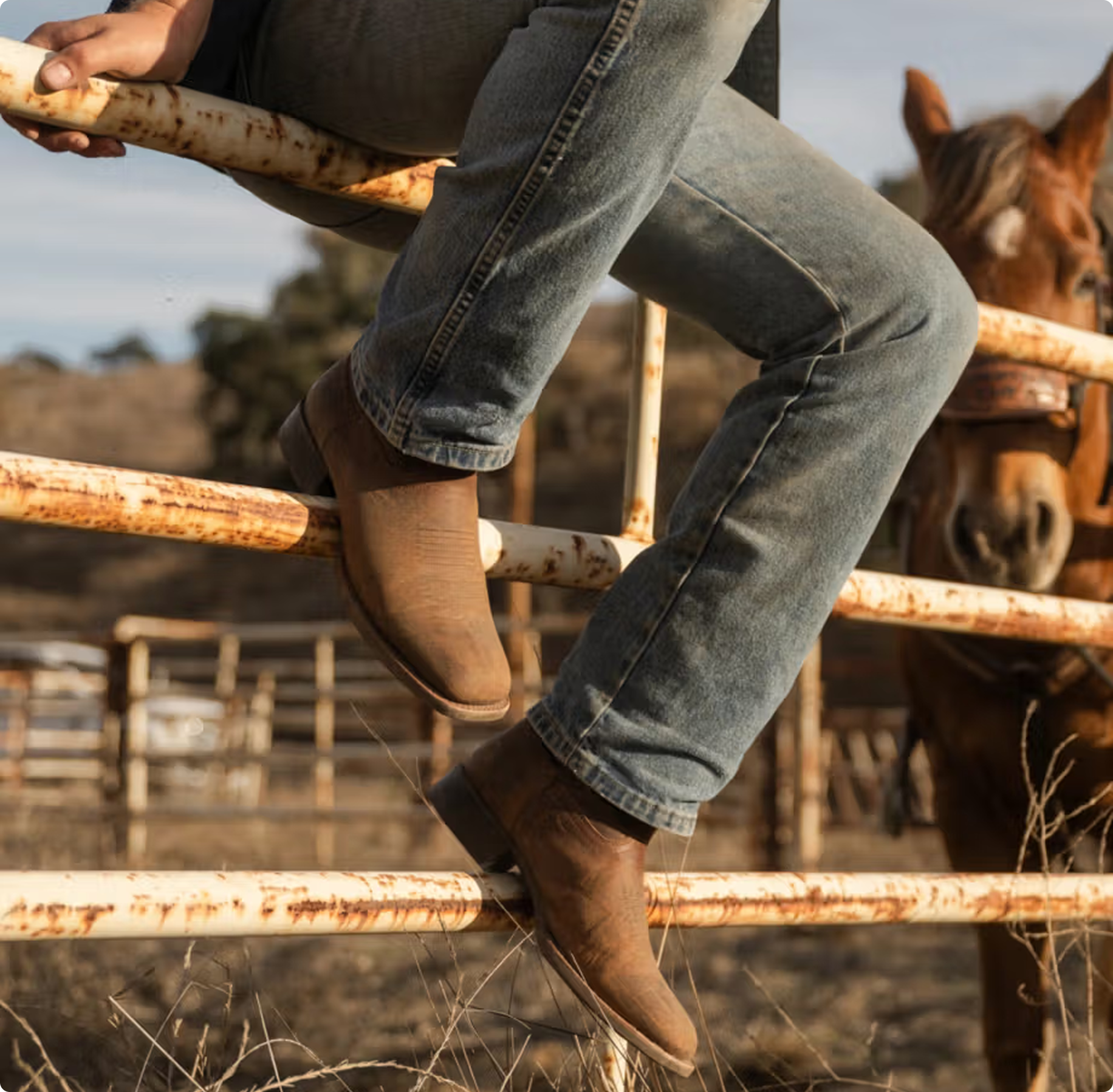 A person wearing brown boots and jeans sits on a rusty metal fence, with a horse nearby in a rural setting. The mood is relaxed and rustic.