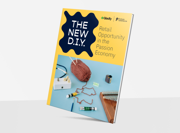Image of The New D.I.Y. book