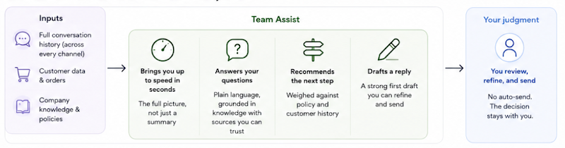 Diagram illustrating: Team Assist frames the situation and proposes a move. The team member reviews the evidence