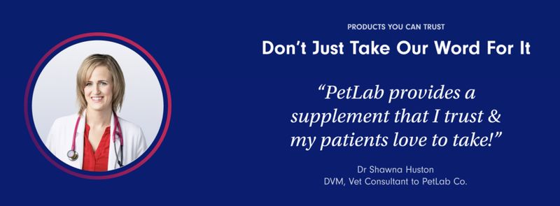 PetLab Co. Dog Dental Health