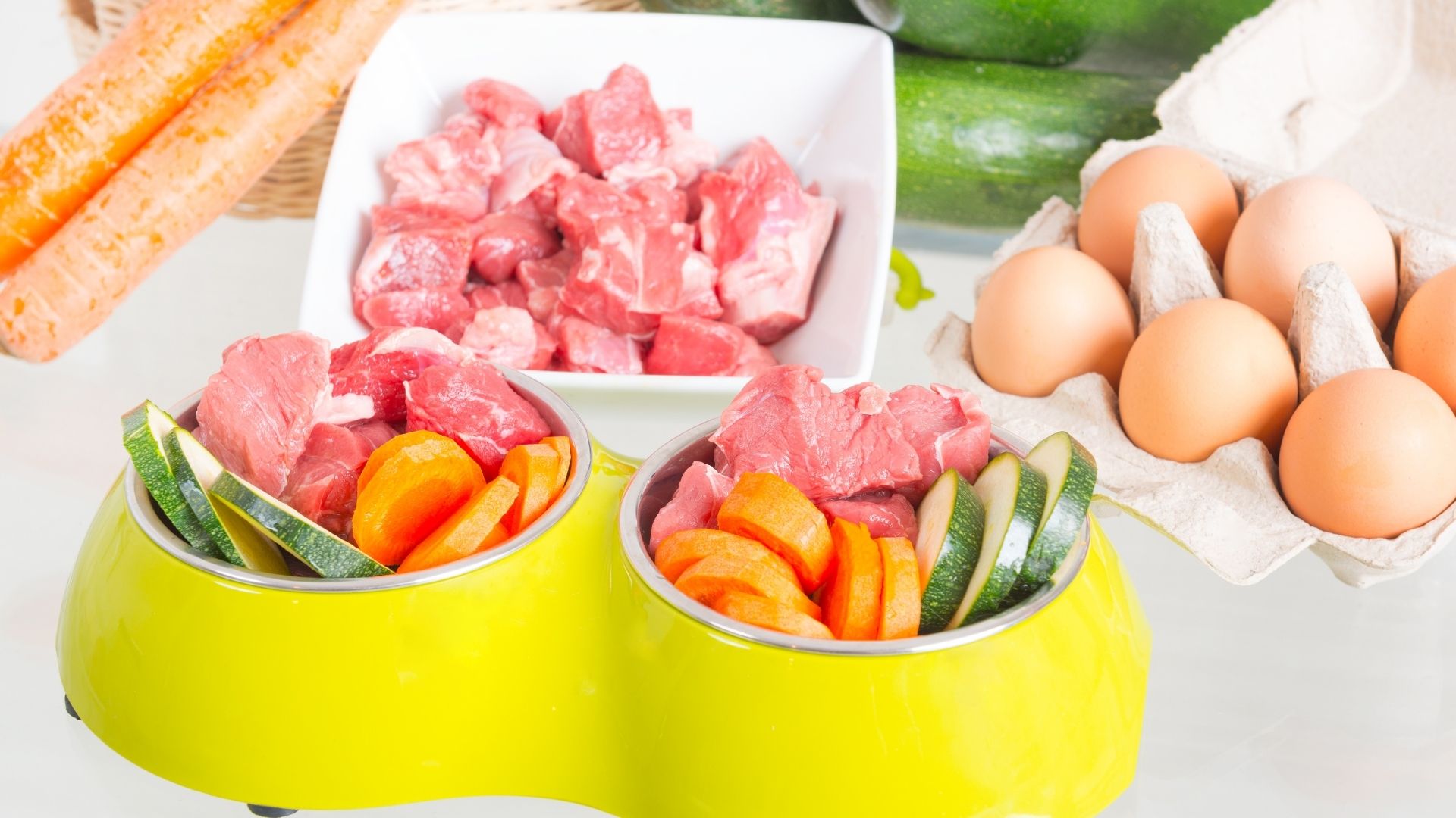 5 Amazing Fresh Dog Food Delivery Services to try this year