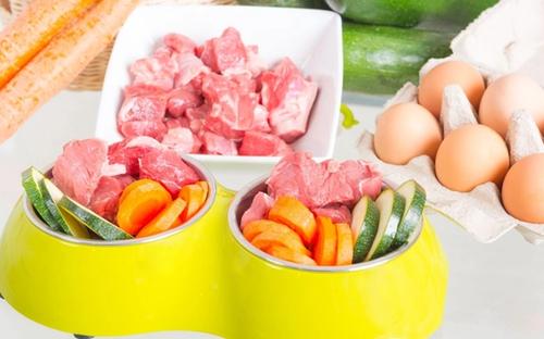 5 Amazing Fresh Dog Food Delivery Services to try this year