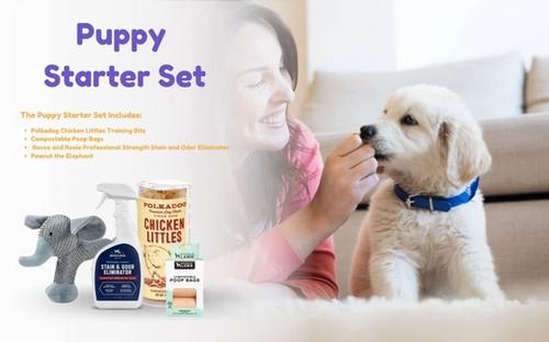 Things You Need For A Puppy: DoggieLawn Puppy Starter Pack