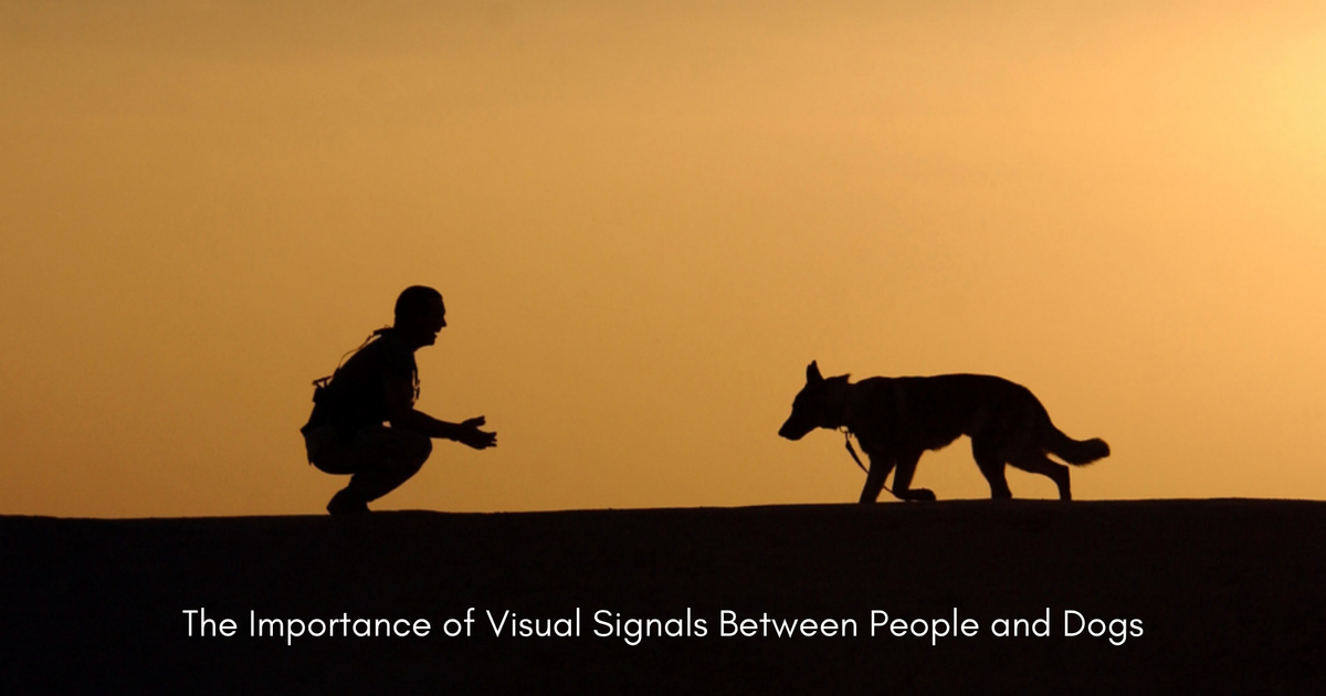 The Importance of Visual Signals Between People and Dogs