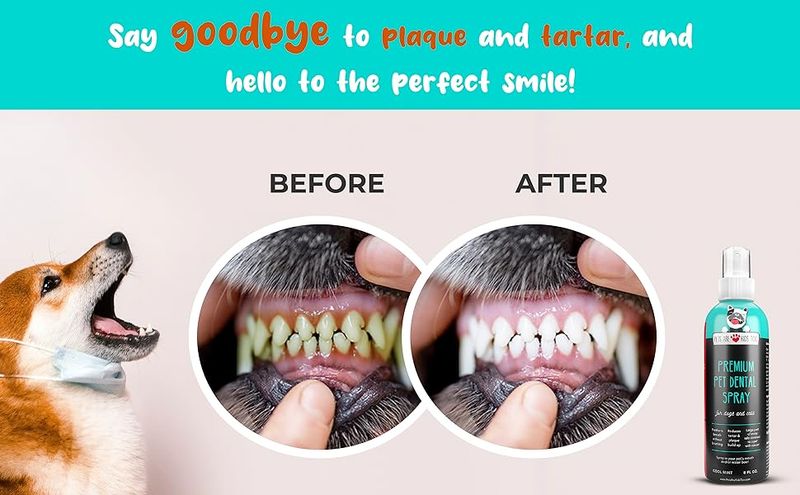 bad breath treatment for dogs