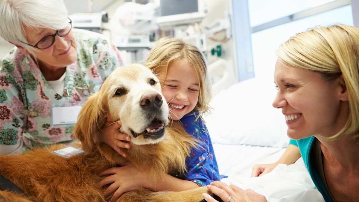 What Is Pet Therapy?