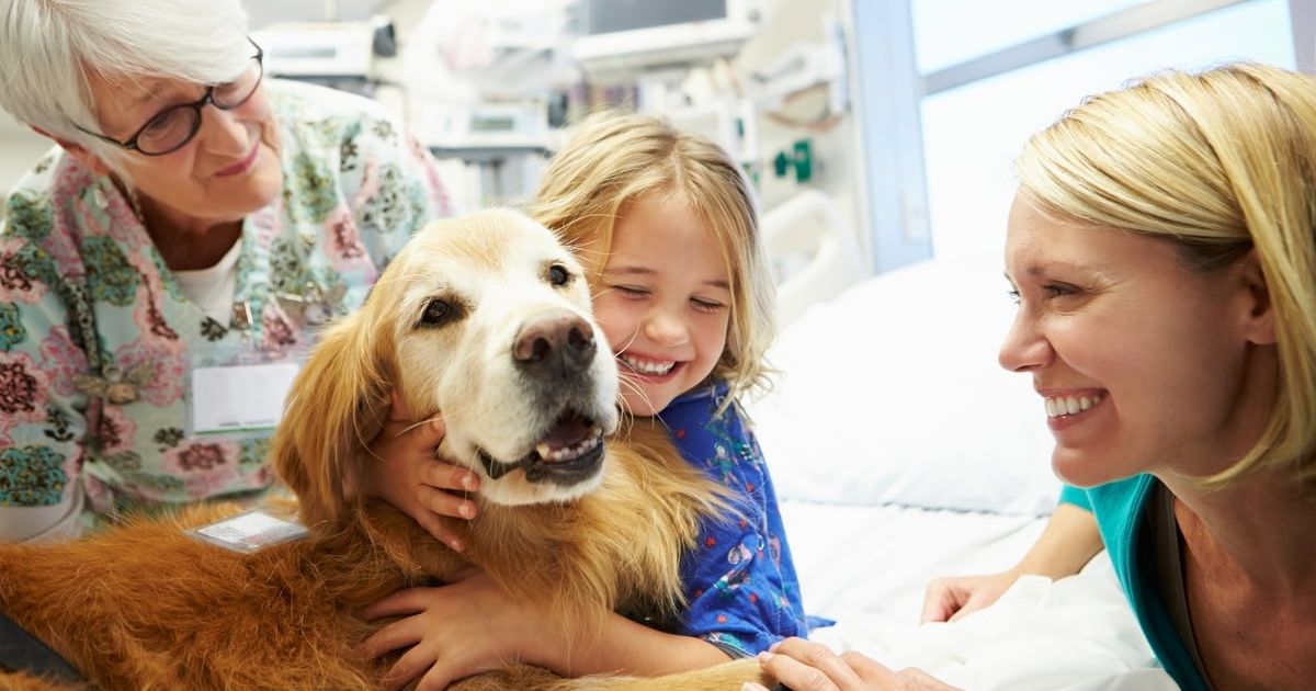 What Is Pet Therapy?