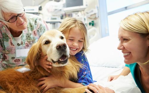What Is Pet Therapy?