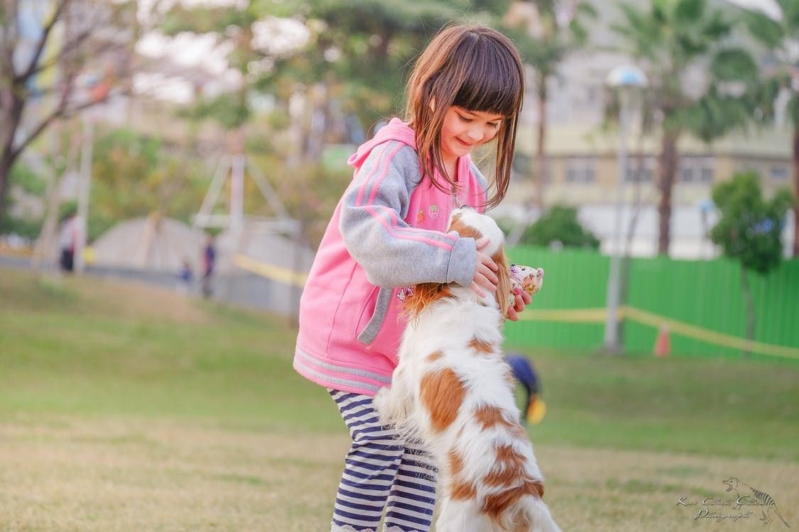 What Are the Best Small Dog Breeds for Kids?