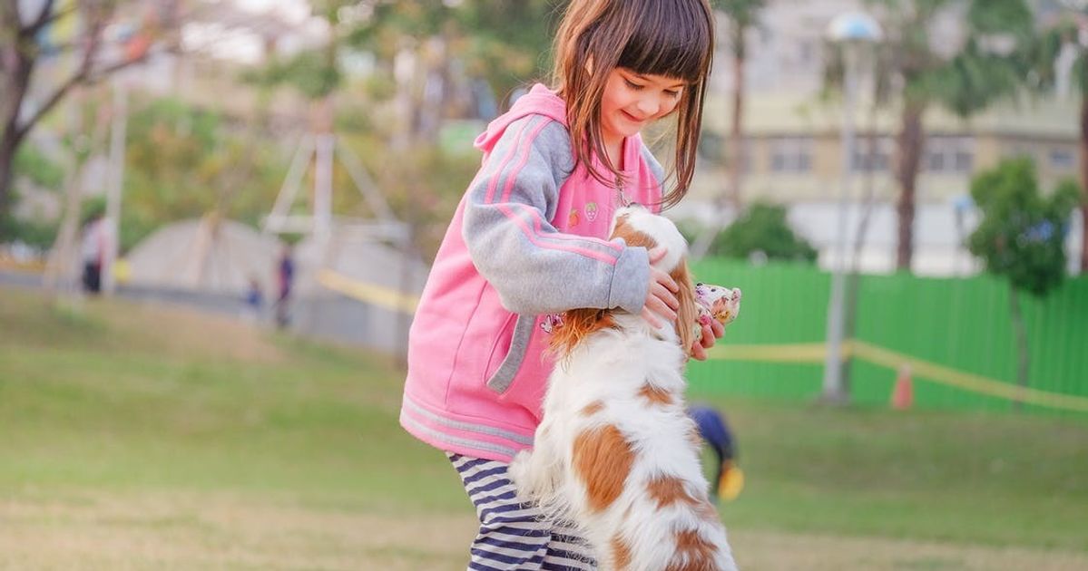 What Are the Best Small Dog Breeds for Kids?