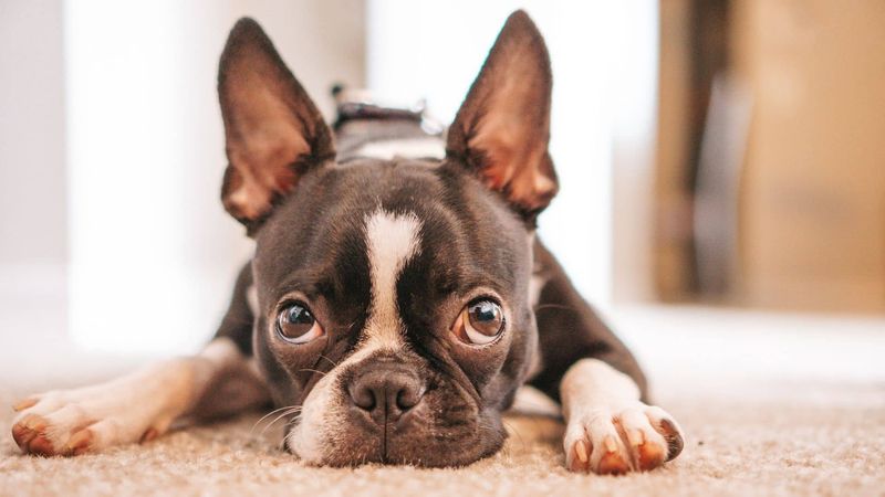 Photo by Kindred Hues Photography