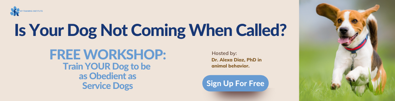Free workshop to train your dog to be as obedient as a service dog