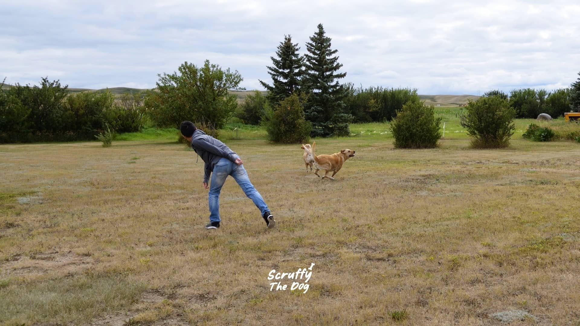 Why Do Dogs And Humans Play Like Kids All Our Lives?