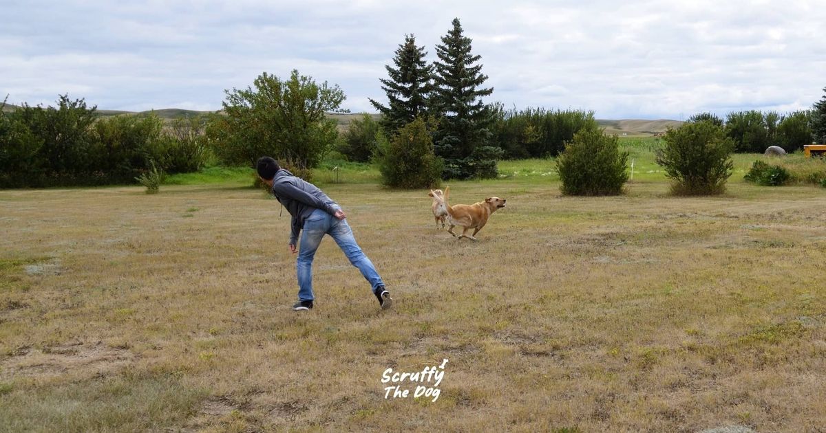 Why Do Dogs And Humans Play Like Kids All Our Lives?