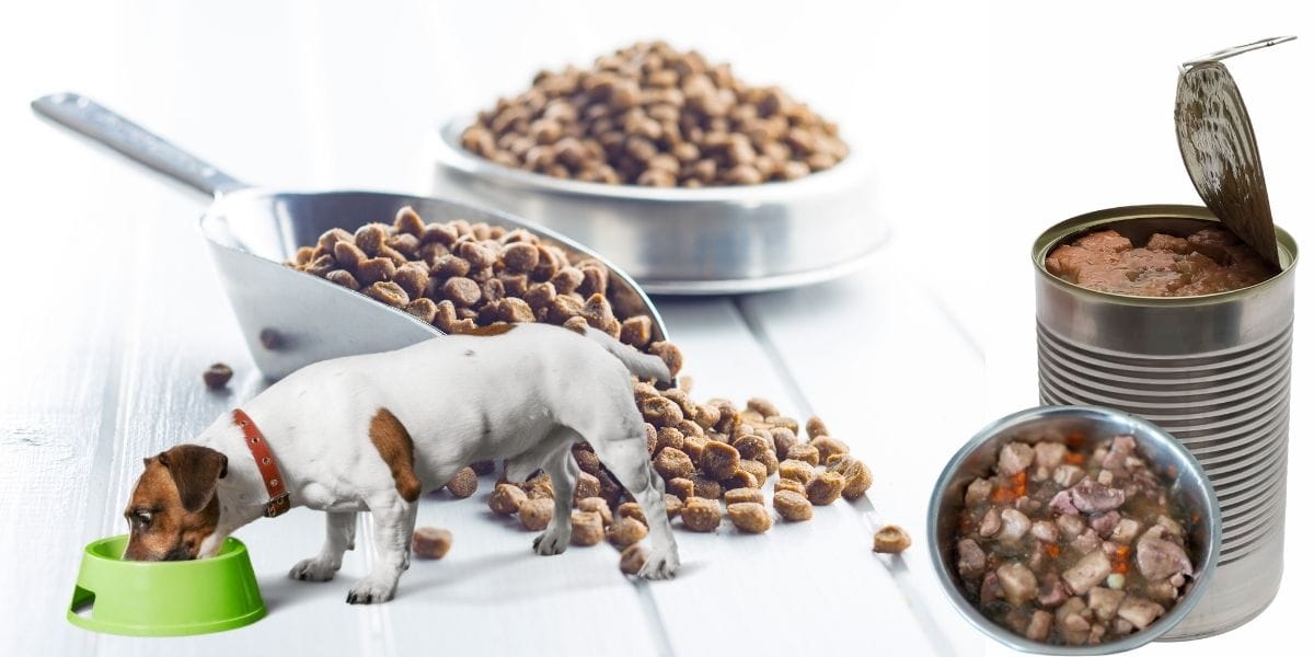 Your Dog's Diet: Canned Dog Food vs. Dry Kibble