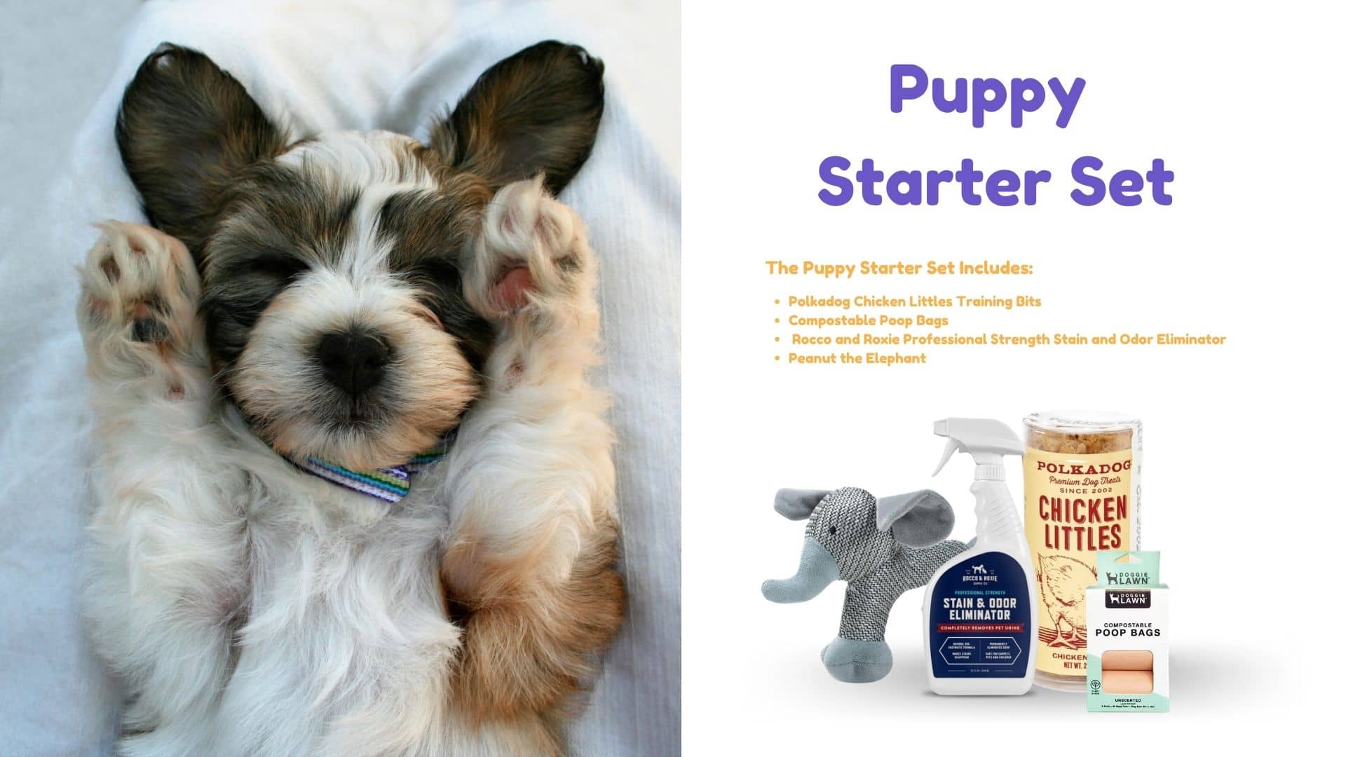 Becoming A Dog Parent Soon? Here’s How You Should Prepare For A New Puppy!