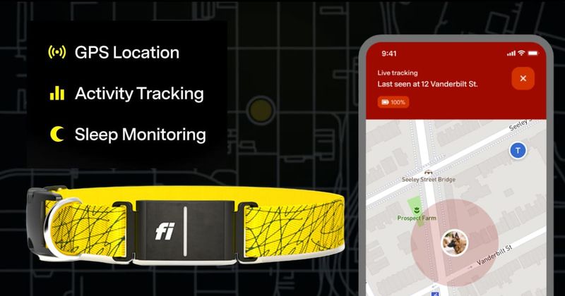 FI Series 3 Smart Dog Collar: Graphic showing Fi Special Features