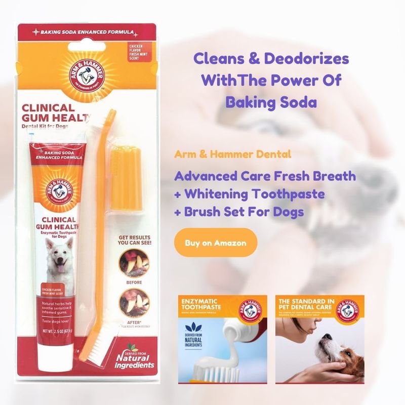 Arm & Hammer Dental Toothbrush kit for dogs