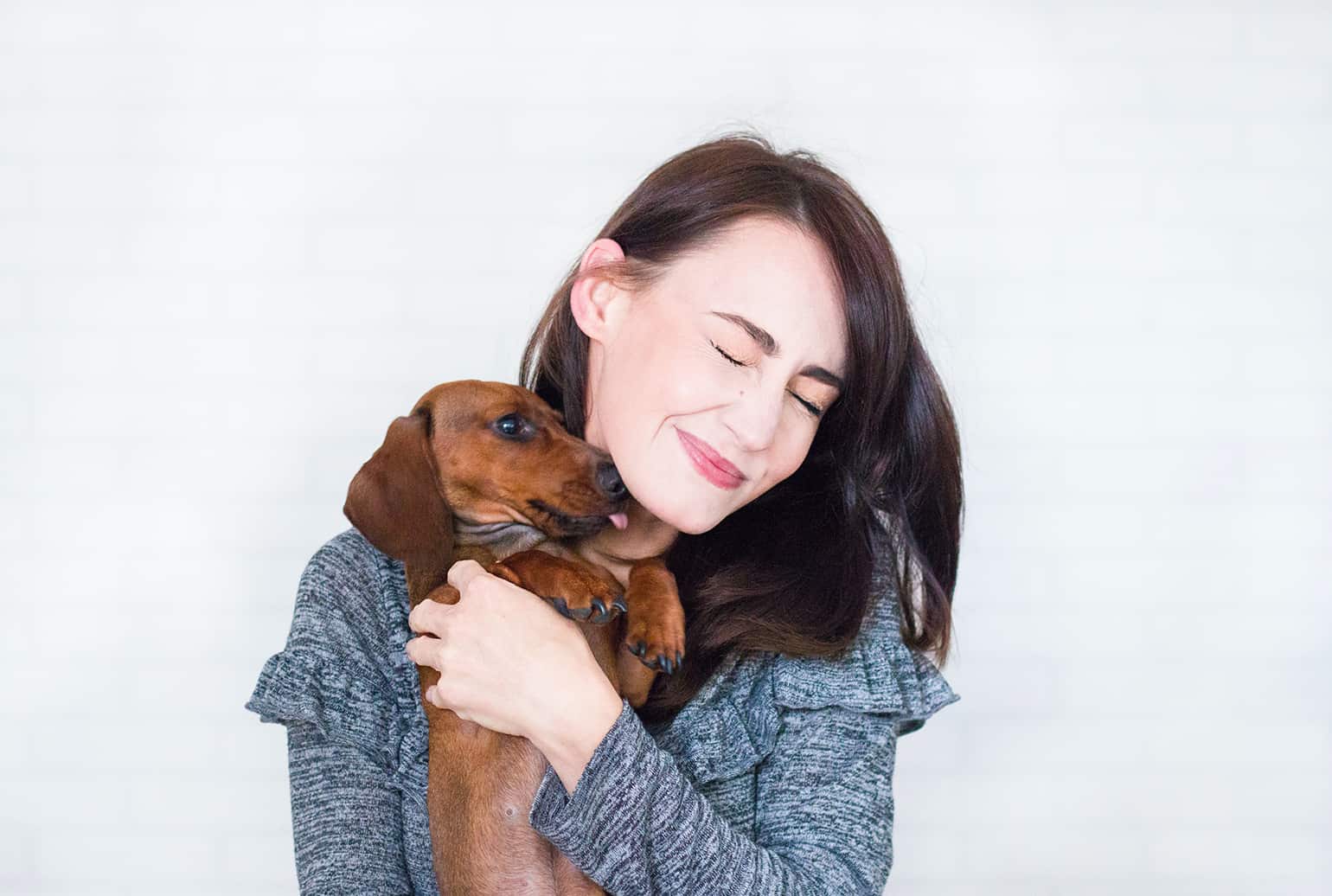 3 Benefits of Having a Small Dog and Why We Love Them