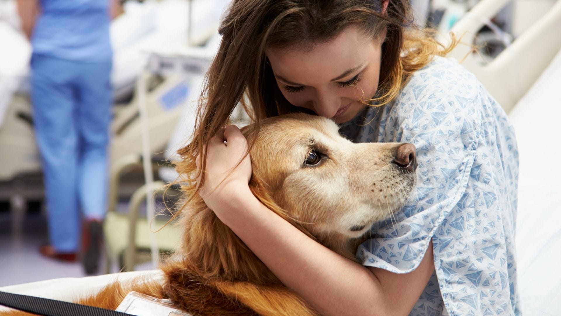 How to Find a Therapy Pet