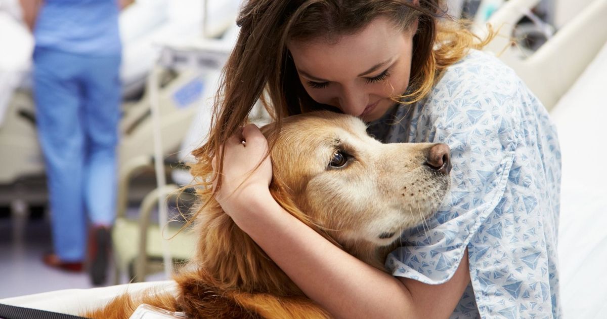 How to Find a Therapy Pet