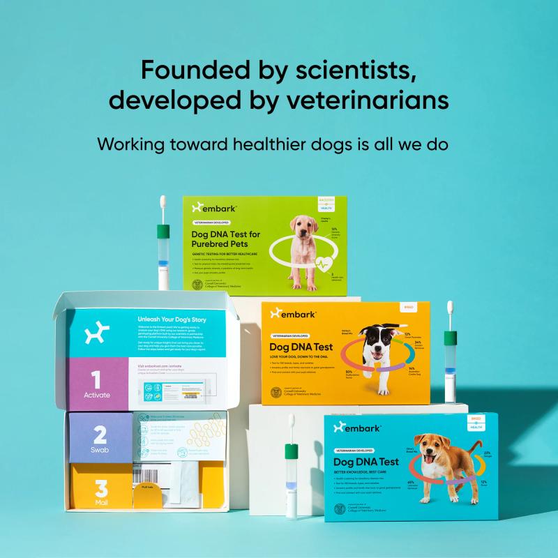 Embark Dog DNA Test Kits