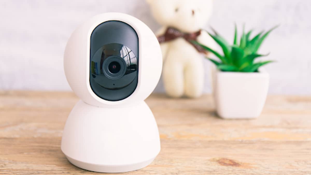 Best Dog Cameras And Monitors (BONUS! Pet Camera Buying Guide)