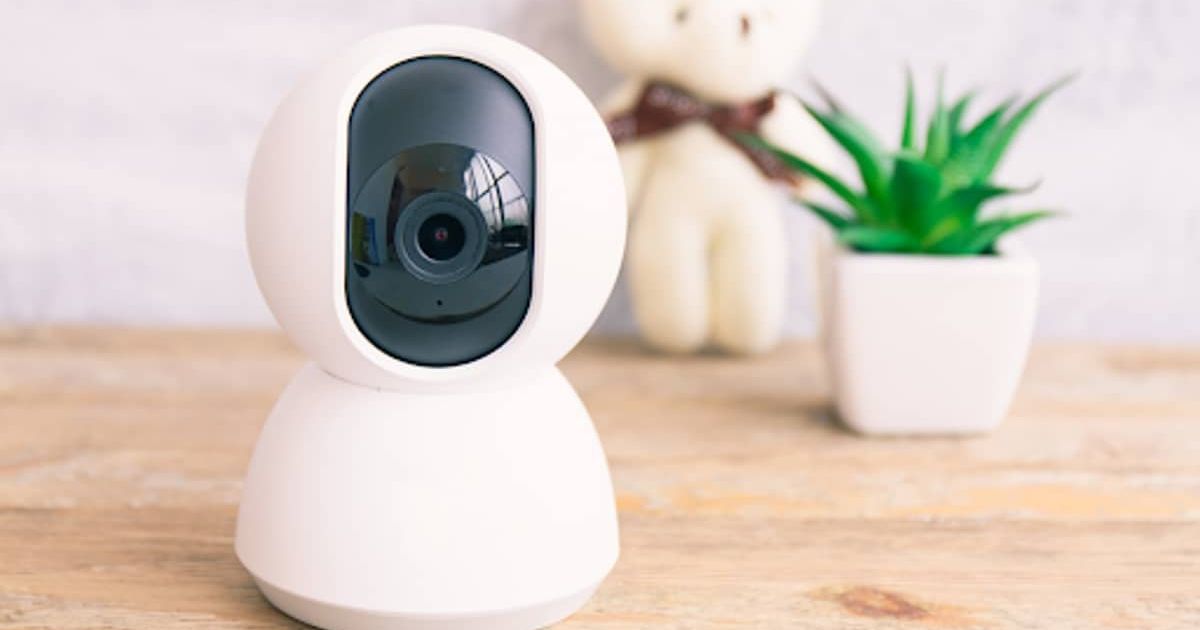 Best Dog Cameras And Monitors (BONUS! Pet Camera Buying Guide)