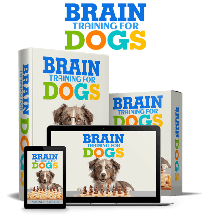 Brain Training for dogs at scruffythedog.com