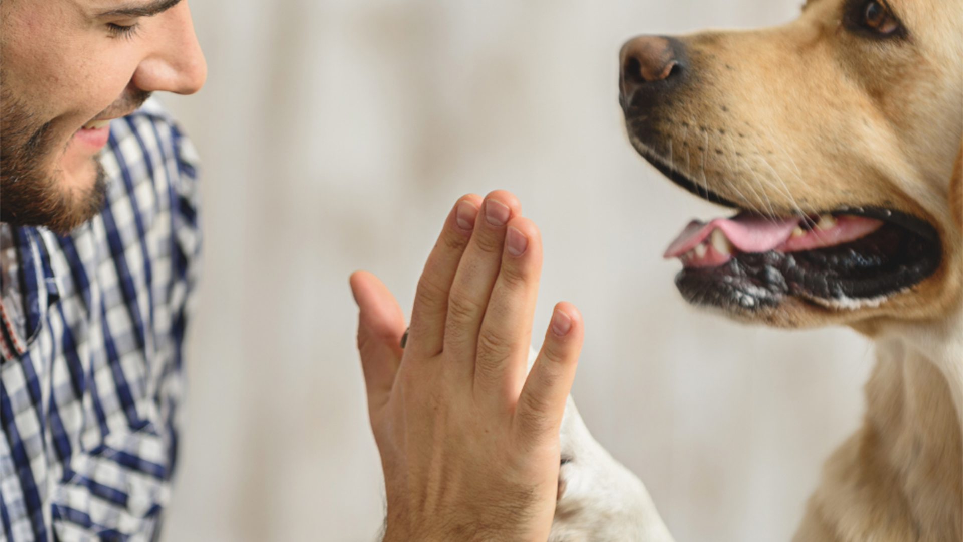 You Have More In Common With Your Dog Than You Might Think