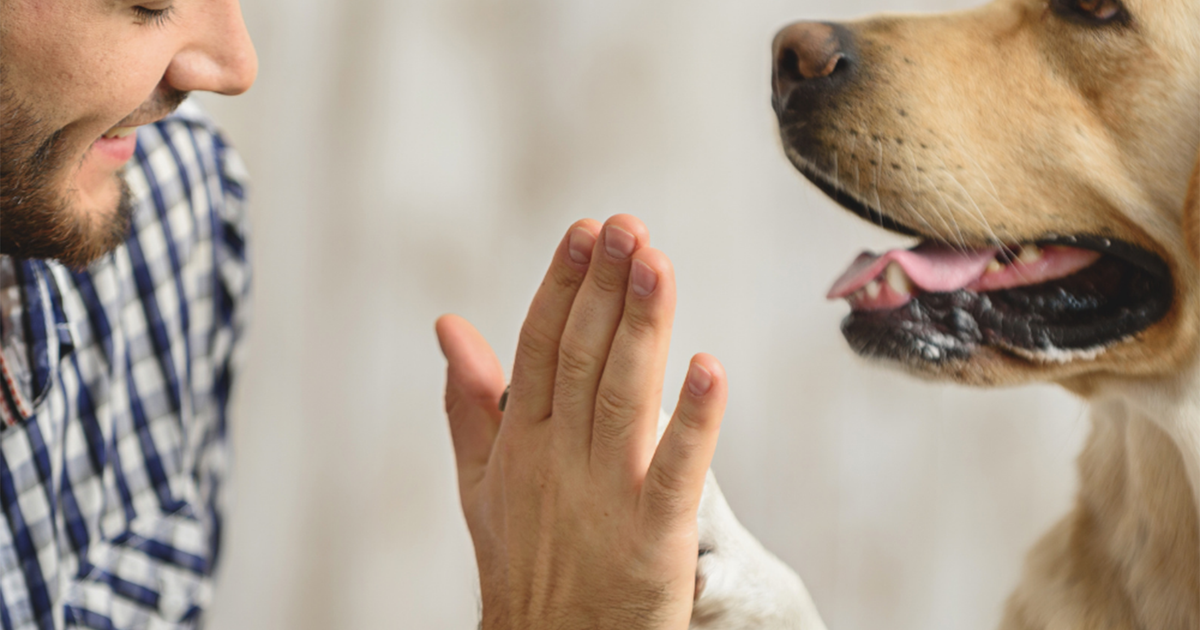 You Have More In Common With Your Dog Than You Might Think