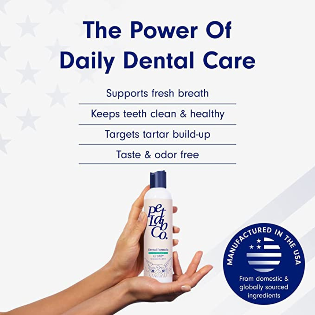 the power of daily dental care