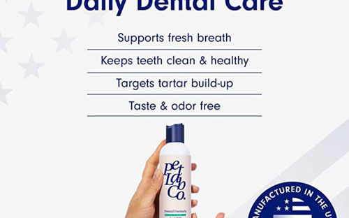 the power of daily dental care