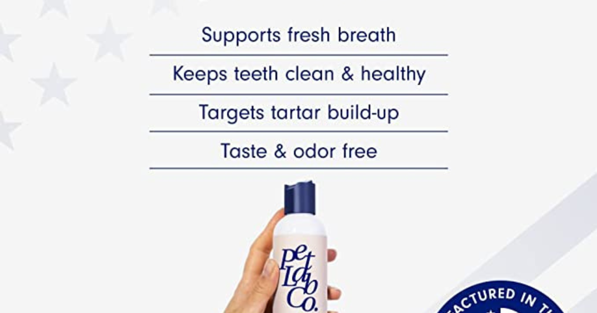 the power of daily dental care