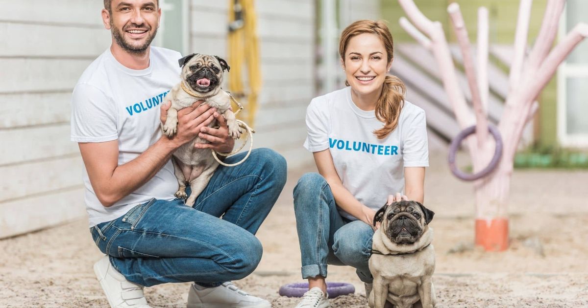 Want to Help Animals? How to Donate to Your Local Animal Shelter