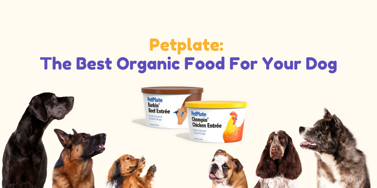 Petplate: The Best Organic Food For Your Dog