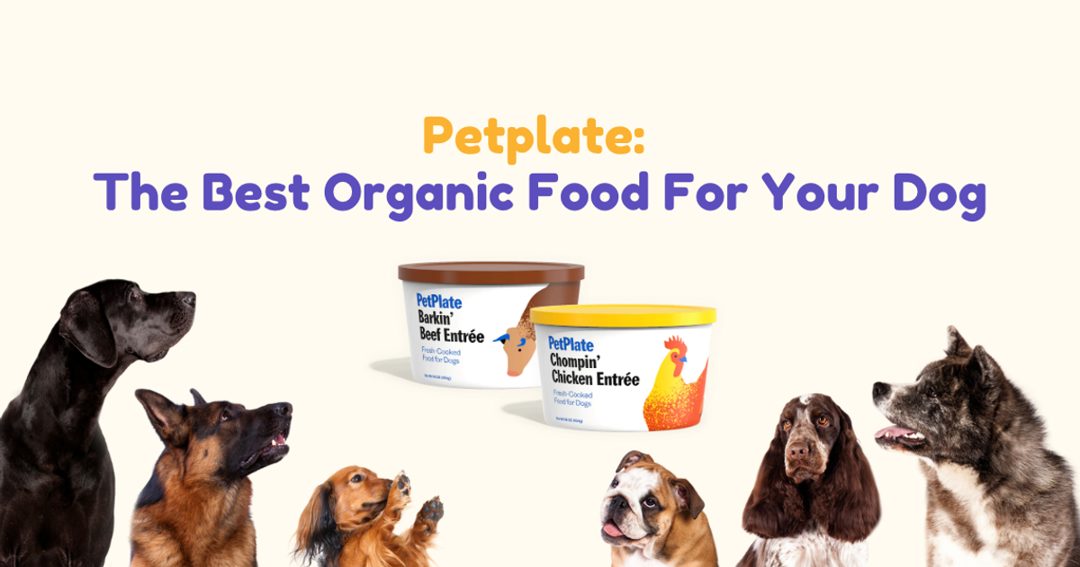 Petplate: The Best Organic Food For Your Dog